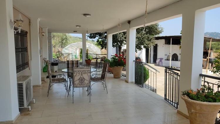 Mallios Country House Near Ancient Olympia Esterno foto