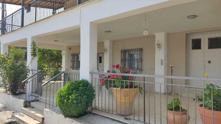Mallios Country House Near Ancient Olympia Esterno foto