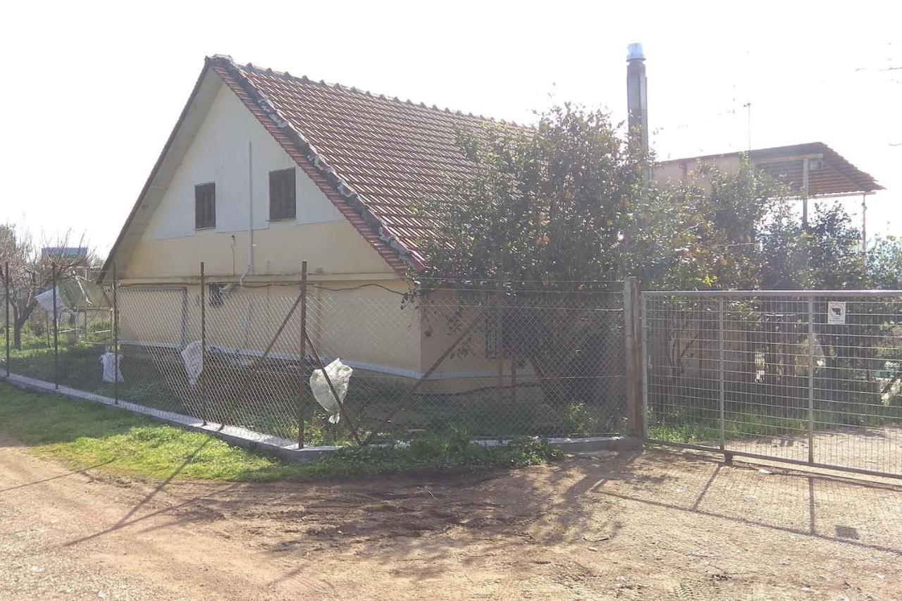 Mallios Country House Near Ancient Olympia Esterno foto